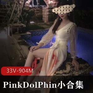 某推模特身材极品美女PinkDolPhin小合集