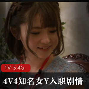 岛国4V4知名女Y入职剧情-无码流出 [1V-5.4G]